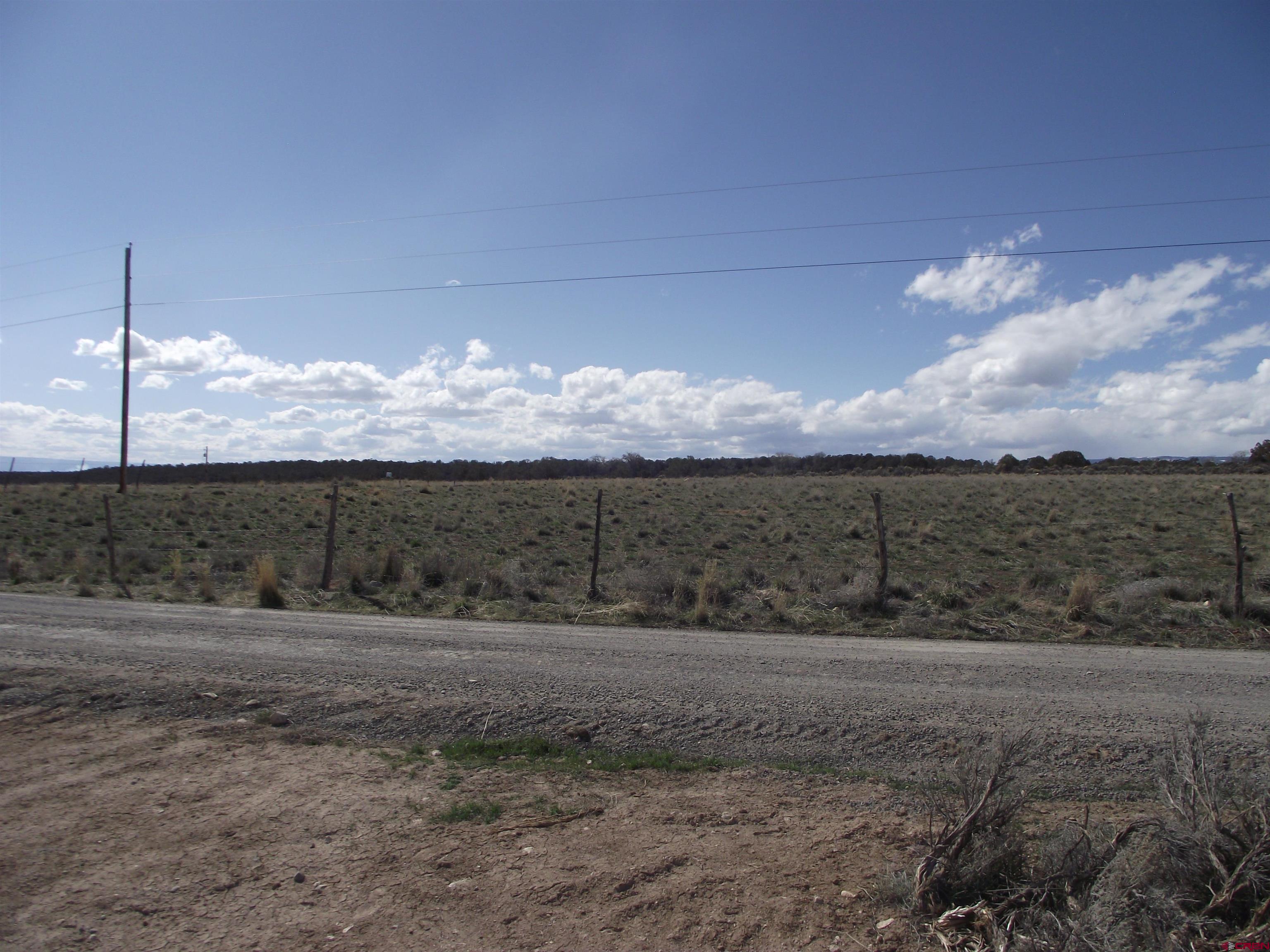 15842 Heavens View Road Cedaredge, CO 81413 - Photo 20 of 28 a view of a yard