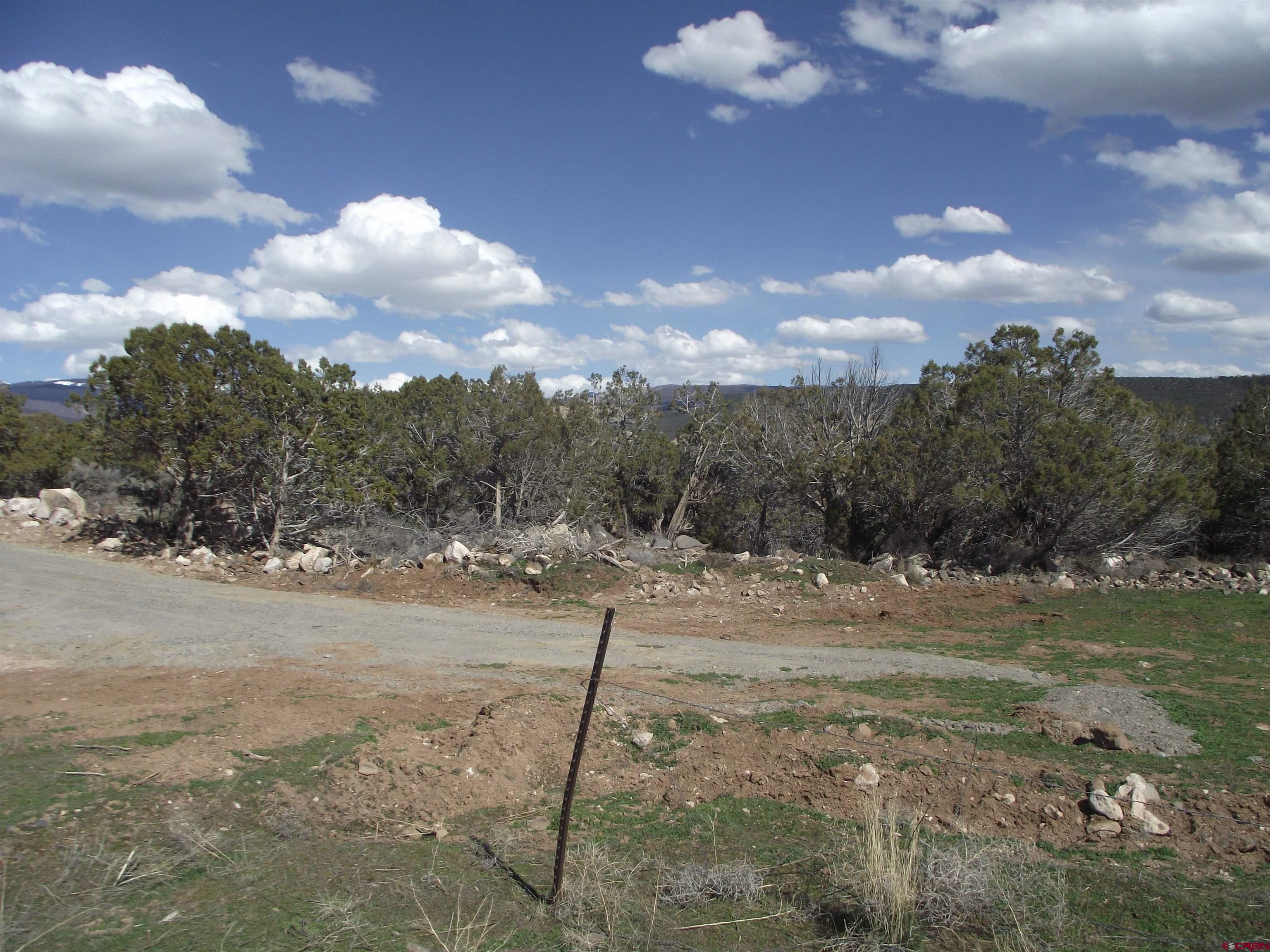 15842 Heavens View Road Cedaredge, CO 81413 - Photo 8 of 28 a view of a yard with a tree