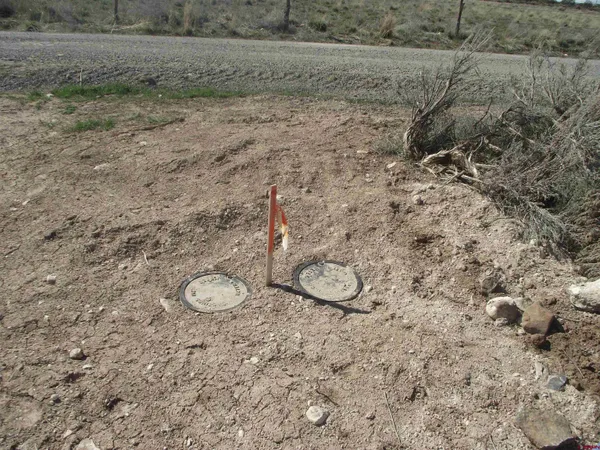 a view of a backyard of the house