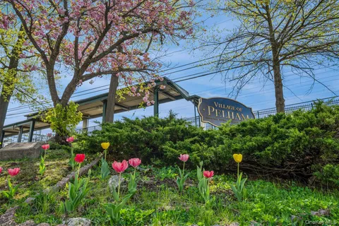 a picture of flowers