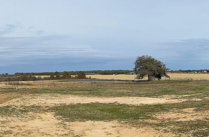 4600 East Lone Star Road Poolville, TX 76487 - Photo 21 of 28