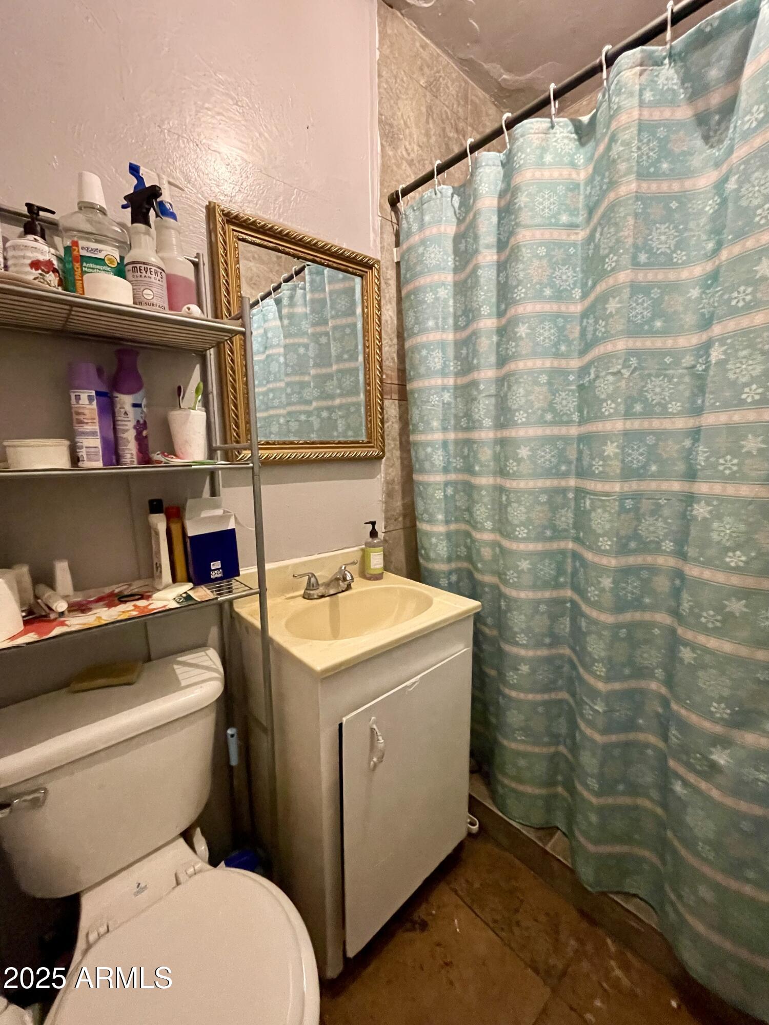 2804 West Coronado Road Phoenix, AZ 85009 - Photo 16 of 19 bathroom