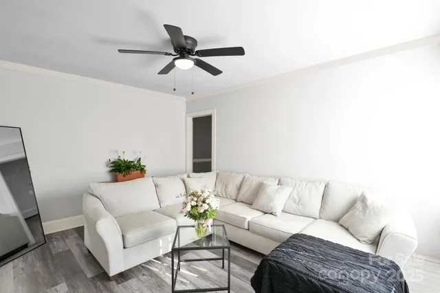 a living room with furniture and a potted plant
