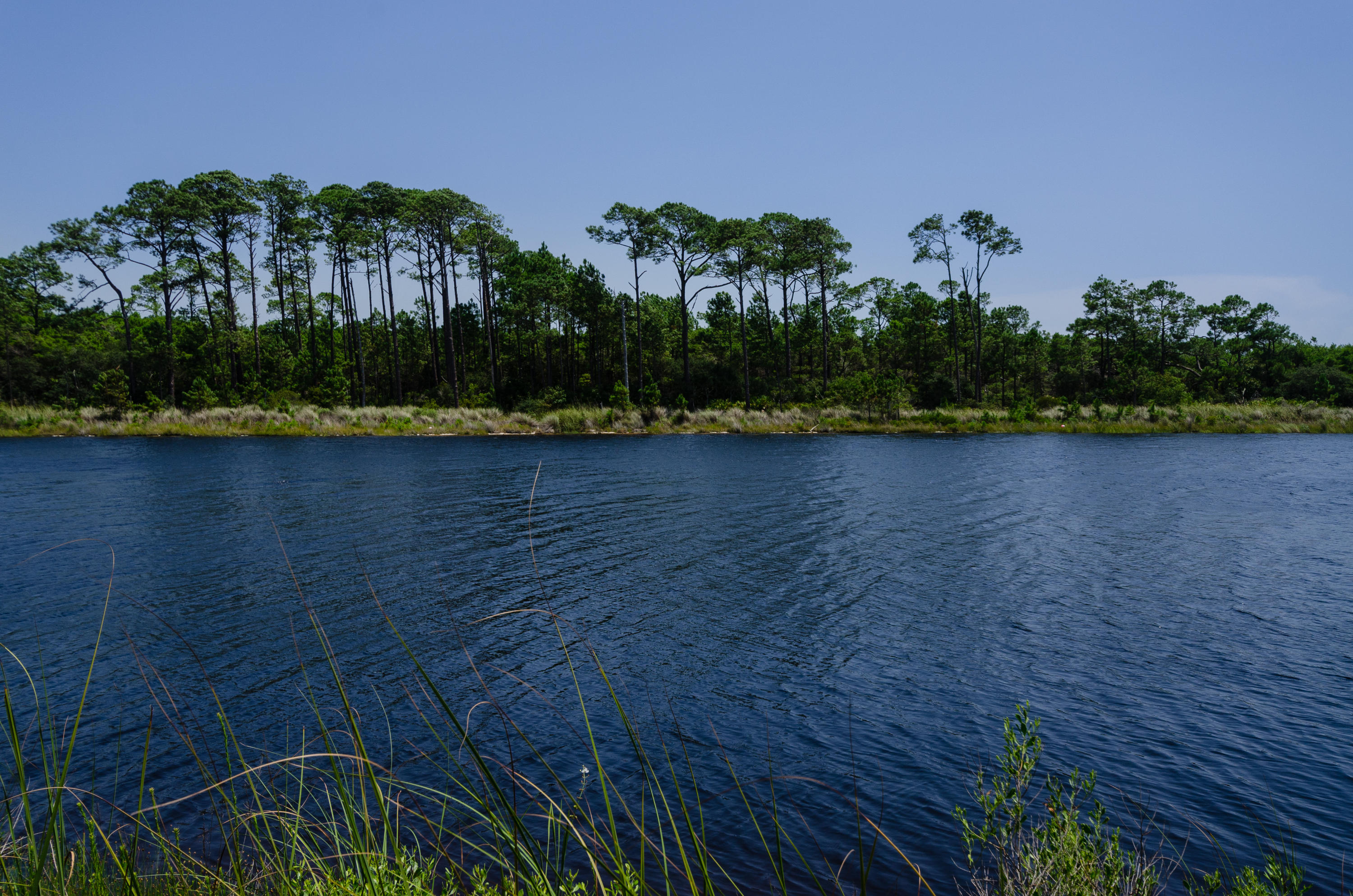 Lot 5 Little Redfish Lane Santa Rosa Beach, FL 32459 - Photo 2 of 7 Little Redfish Lot_20150807_021