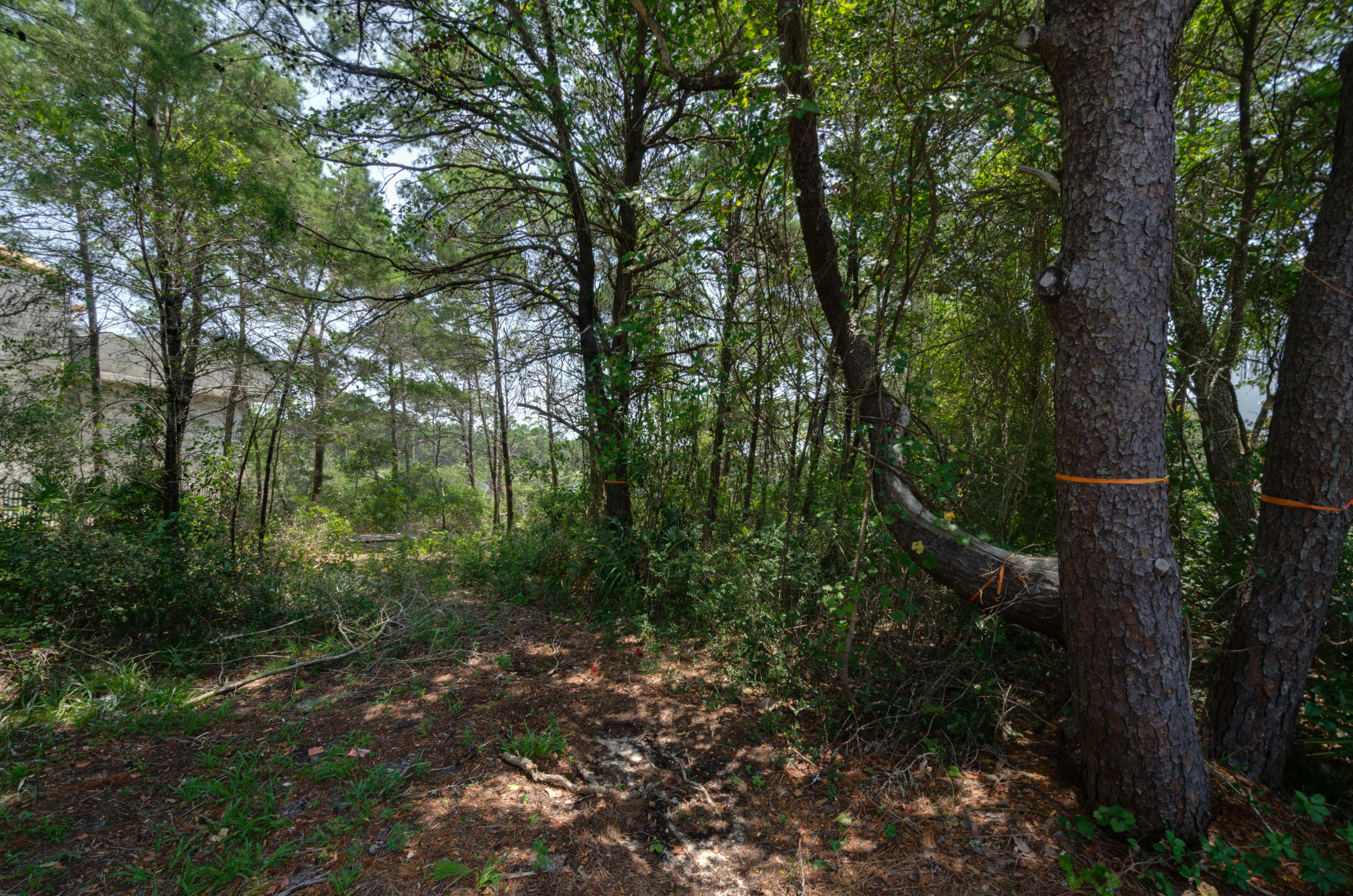 Lot 5 Little Redfish Lane Santa Rosa Beach, FL 32459 - Photo 3 of 7 Little Redfish Lot_20150807_012-fused