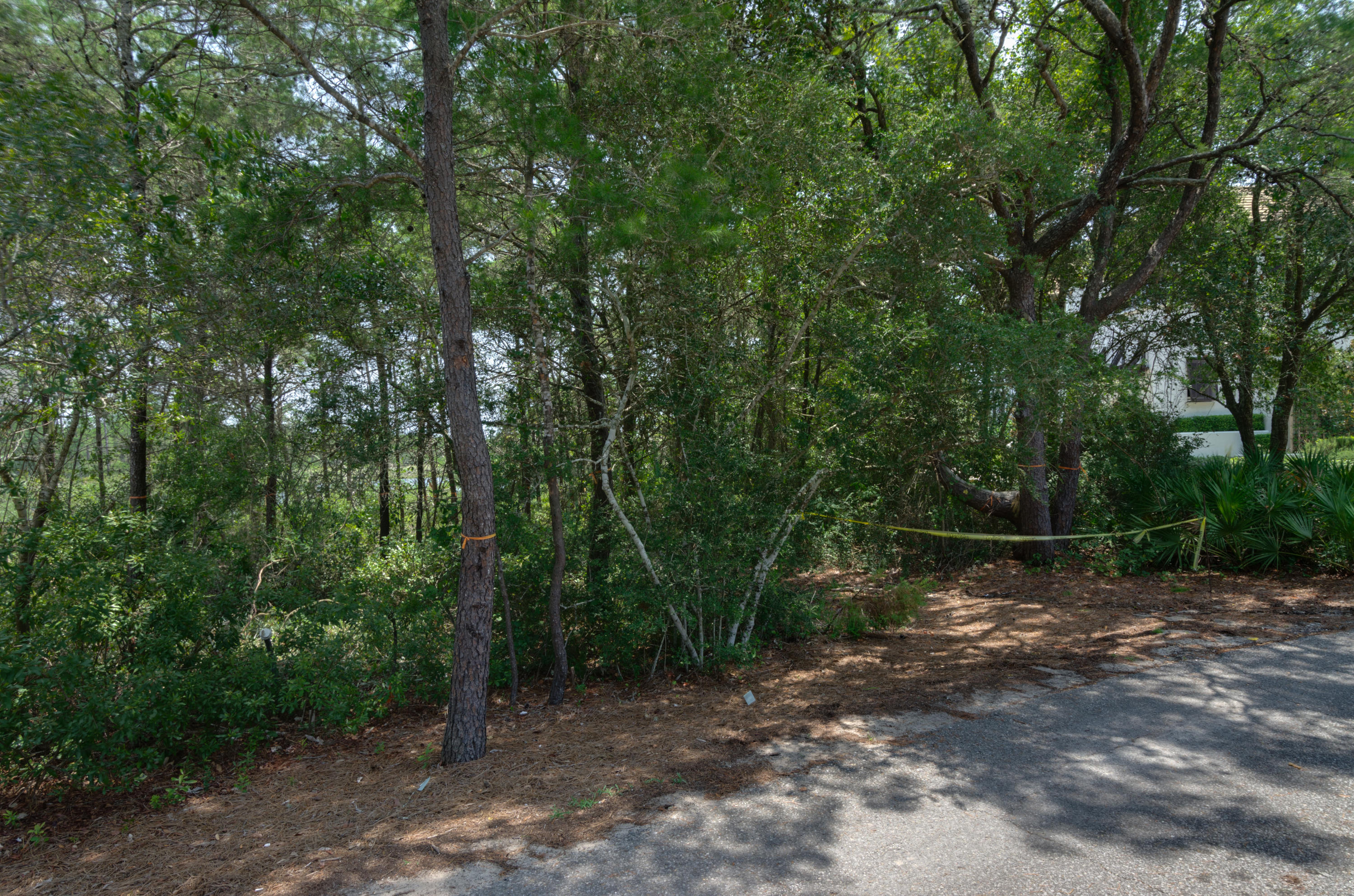 Lot 5 Little Redfish Lane Santa Rosa Beach, FL 32459 - Photo 4 of 7 Little Redfish Lot_20150807_006-fused