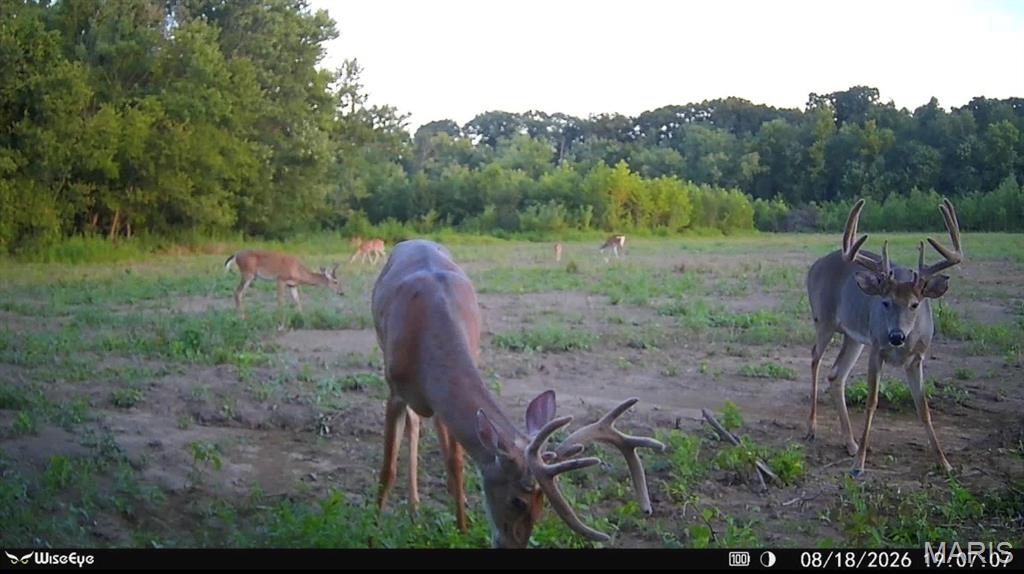 1 Landmark Road Iuka, IL 62849 - Photo 29 of 40 Gallery Image 29