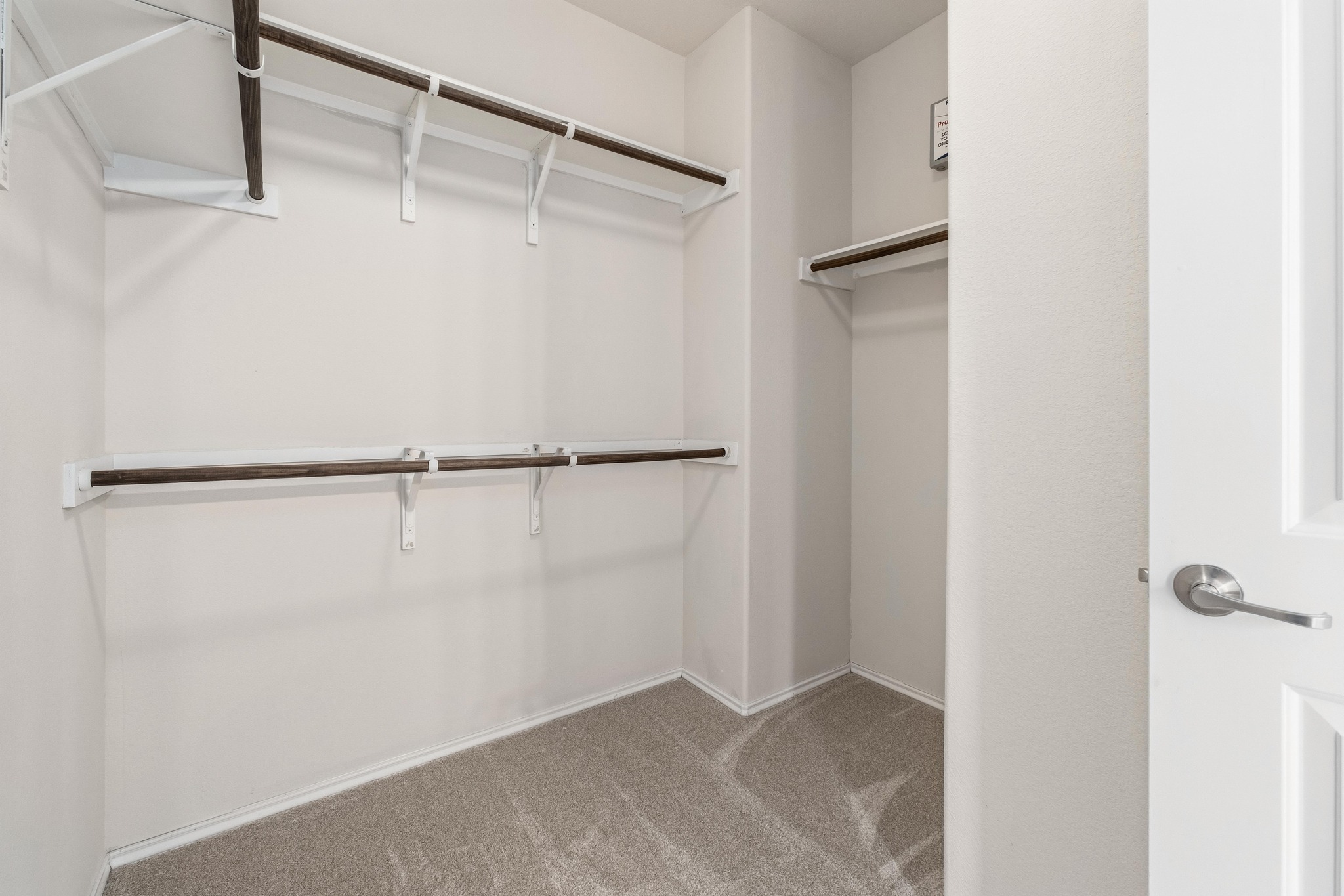 10124 Pinnacle Crest Loop Austin, TX 78747 - Photo 19 of 31 Walk-in closet featuring light gray carpeting, white walls, and multiple levels of shelving with hanging rods