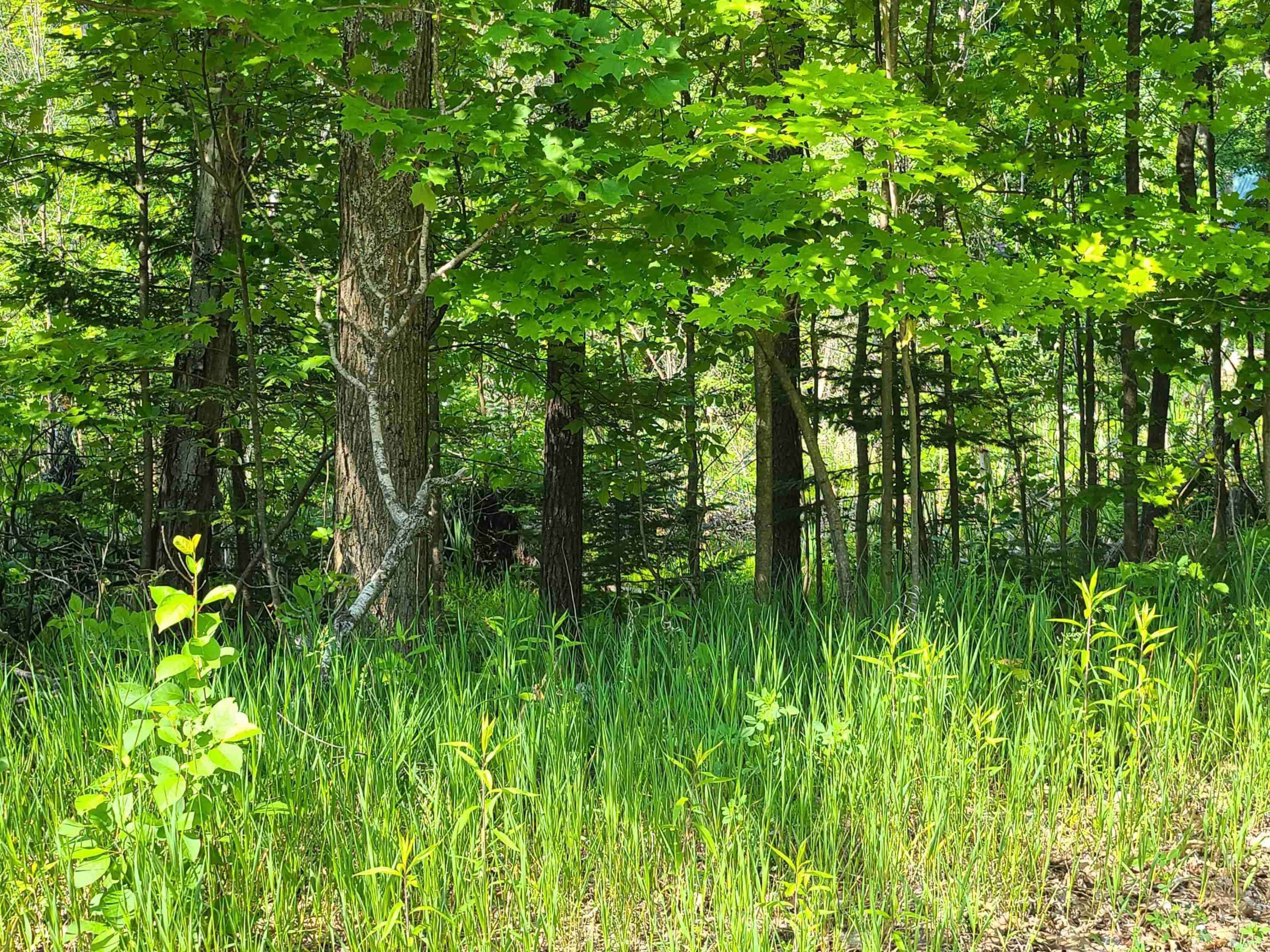 1281 West Trask Lake Road Barton City, MI 48705 - Photo 6 of 8