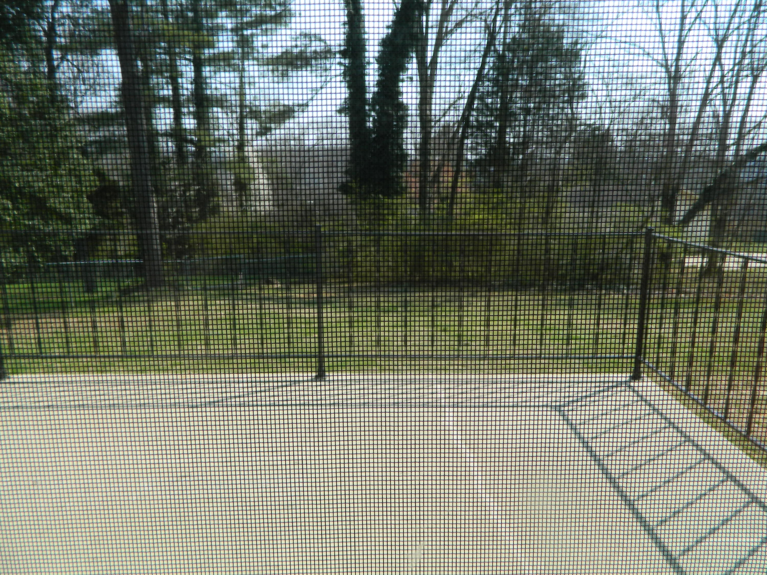 105 Dixie Lane Oak Ridge, TN 37830 - Photo 19 of 22 DSCN4621