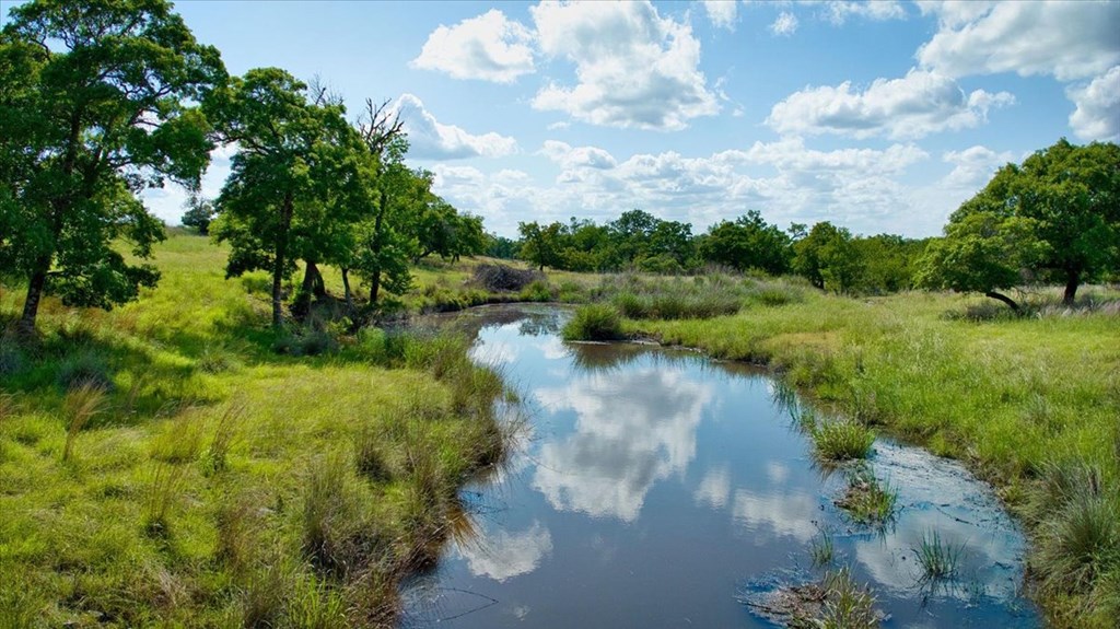 1411 Grape Creek Road Fredericksburg, TX 78624 - Photo 18 of 44