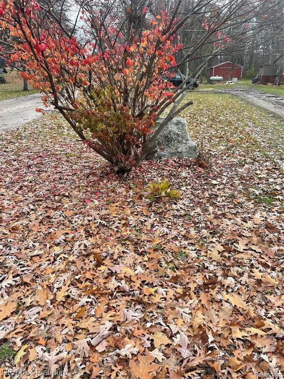 0 Seymour Road Gaines, MI 48436 - Photo 4 of 5