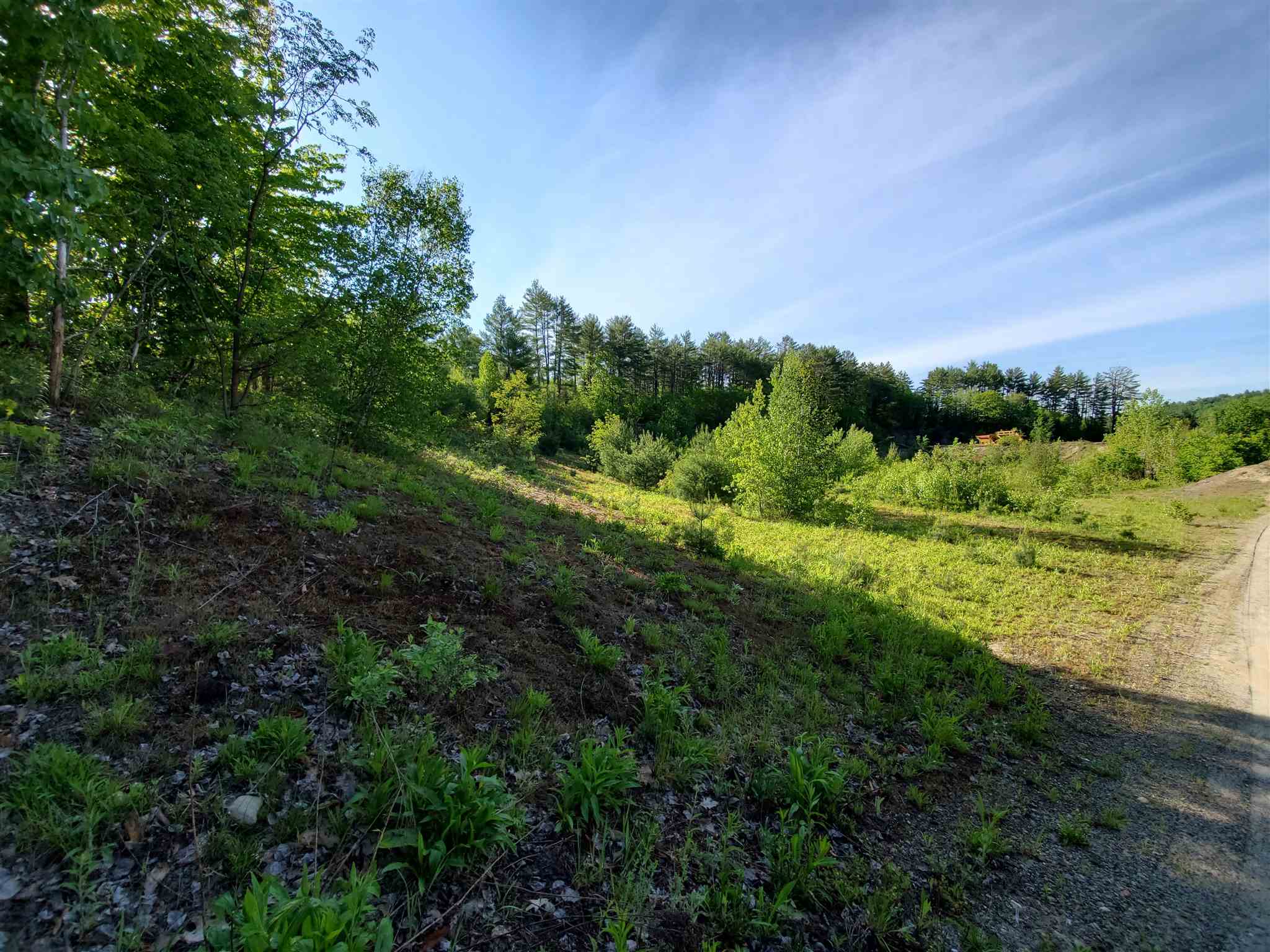 672 Bog Road Enfield, NH 03753 - Photo 5 of 26