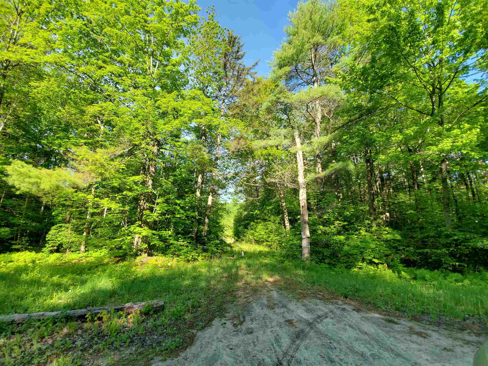 672 Bog Road Enfield, NH 03753 - Photo 9 of 26