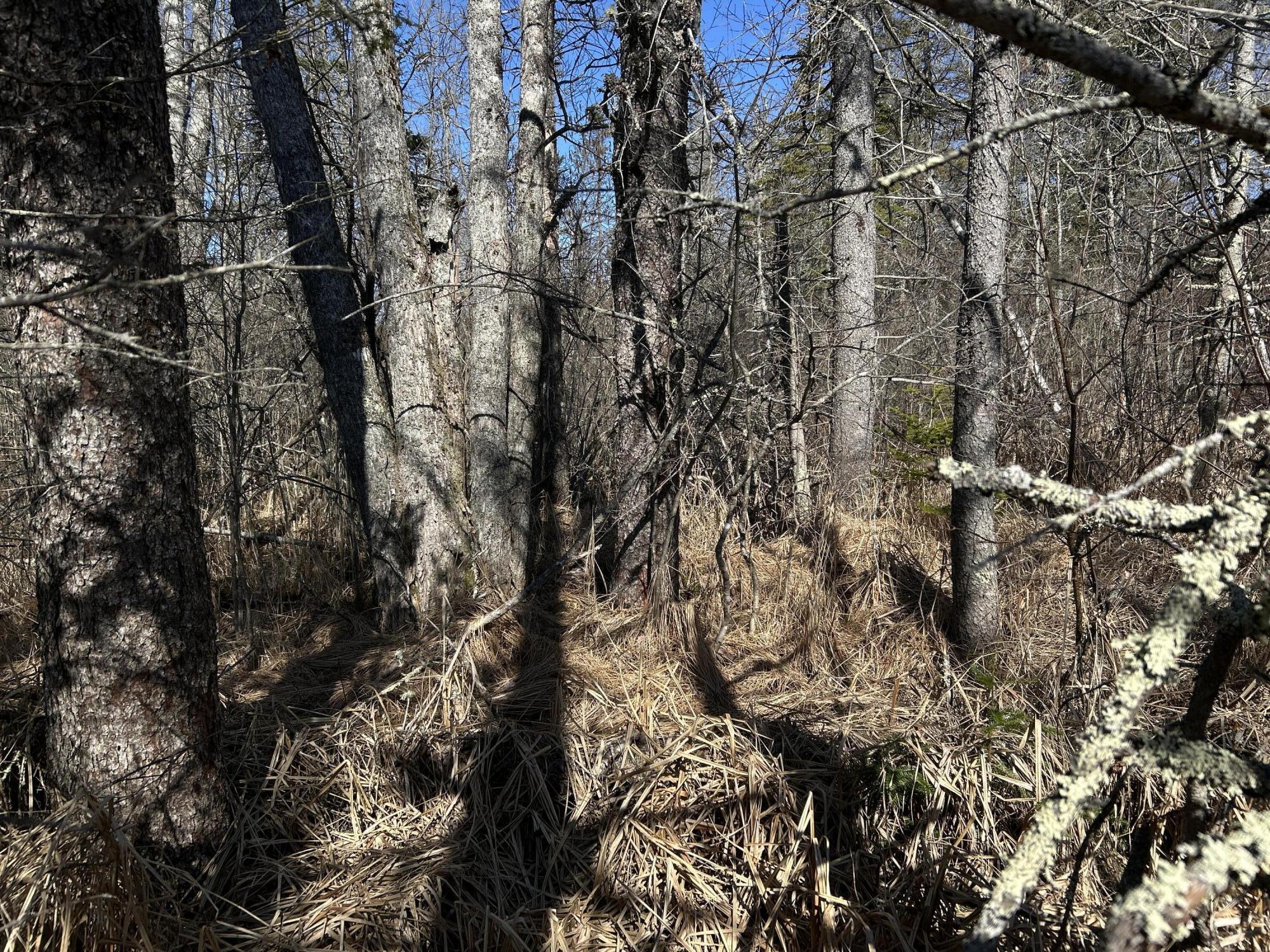 365 Cushing Road Cushing, ME 04563 - Photo 27 of 32 47