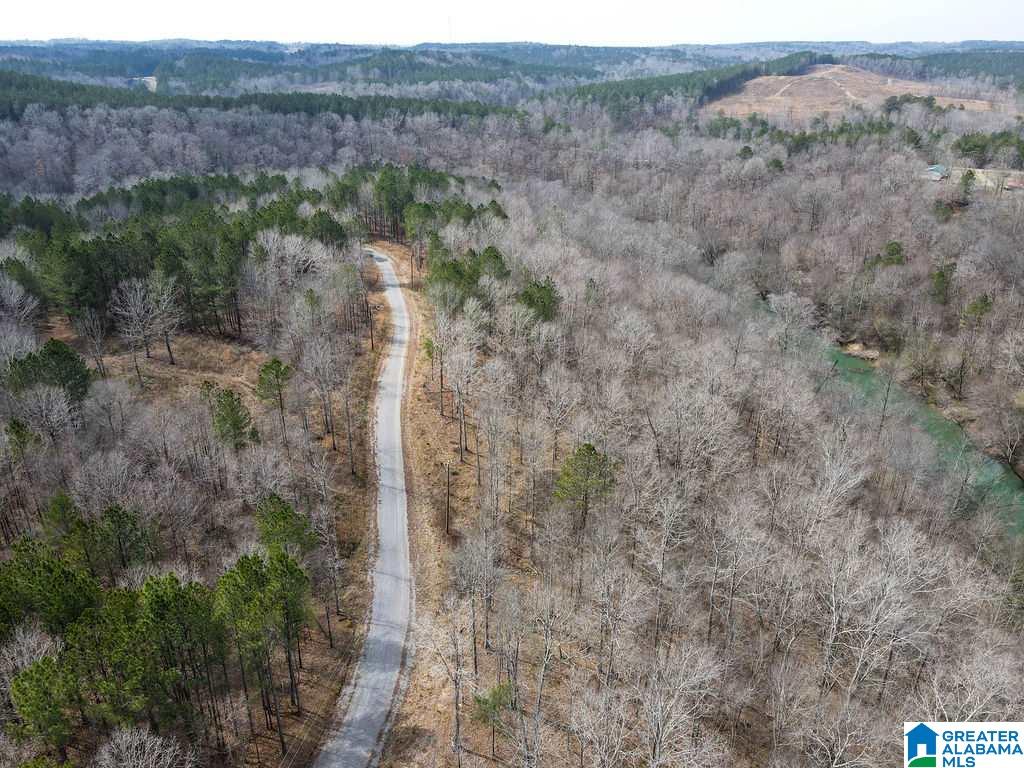 Lot #8 Turkey Bend Drive, Unit 8 Addison, AL 35540 - Photo 12 of 13