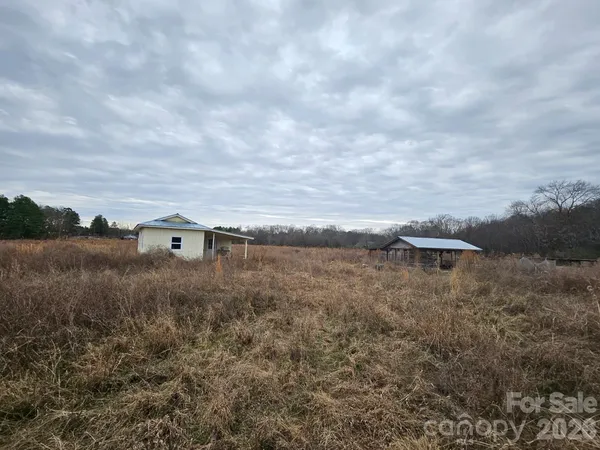 a view of a dry yard with wooden fence