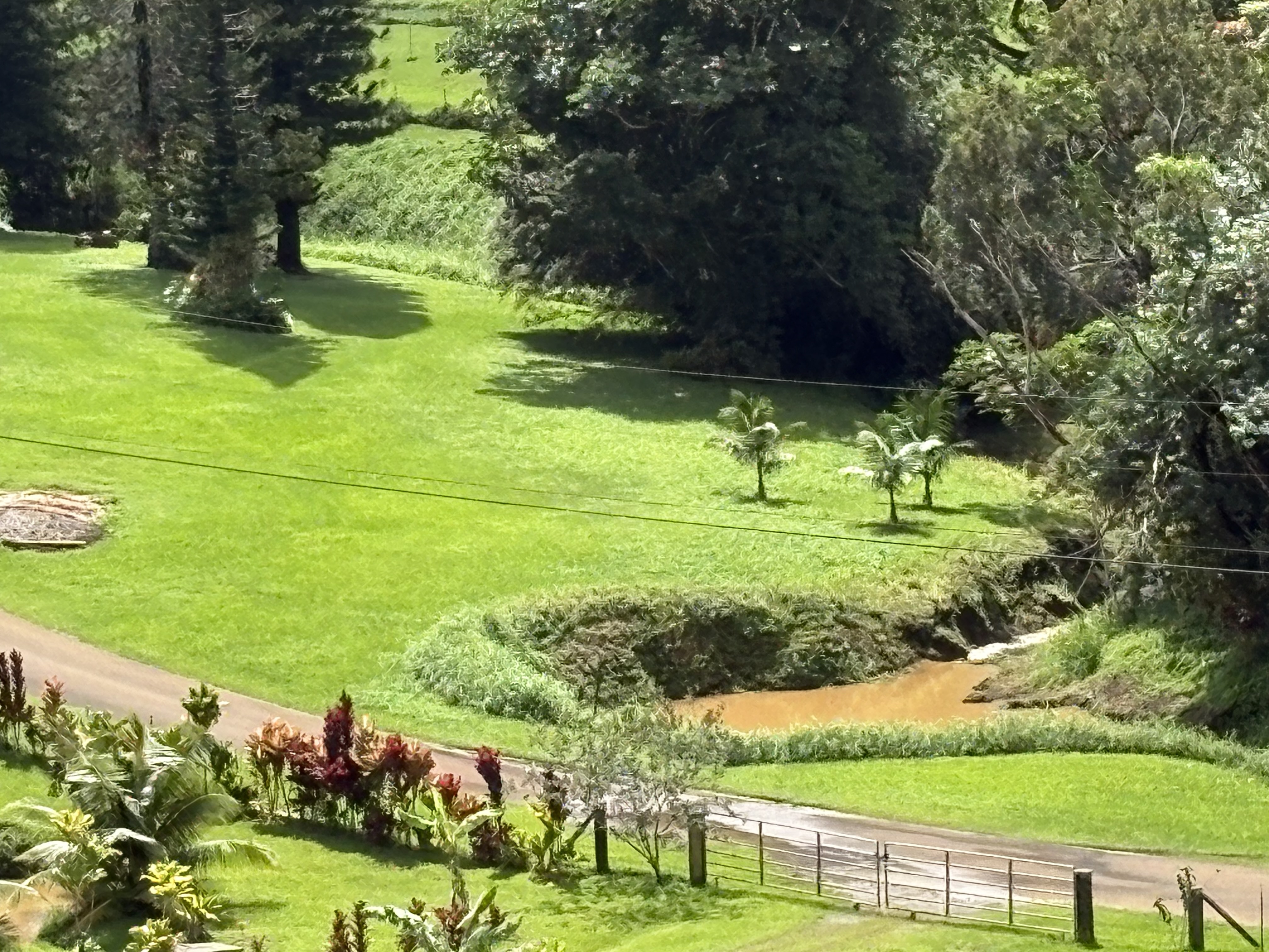 6630 Kipapa Road Kapaa, HI 96746 - Photo 12 of 20 a view of a garden with a tree
