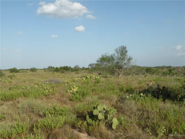 $945,000 | 0 Fm 1017 Highway, Hebbronville, TX 78361
