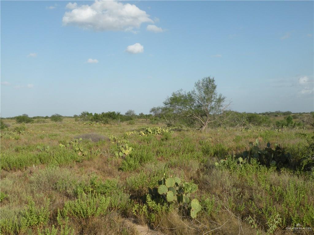0 Fm 1017 Highway Hebbronville, TX 78361 - Photo 11 of 20 a view of a large trees with plants and covered in background
