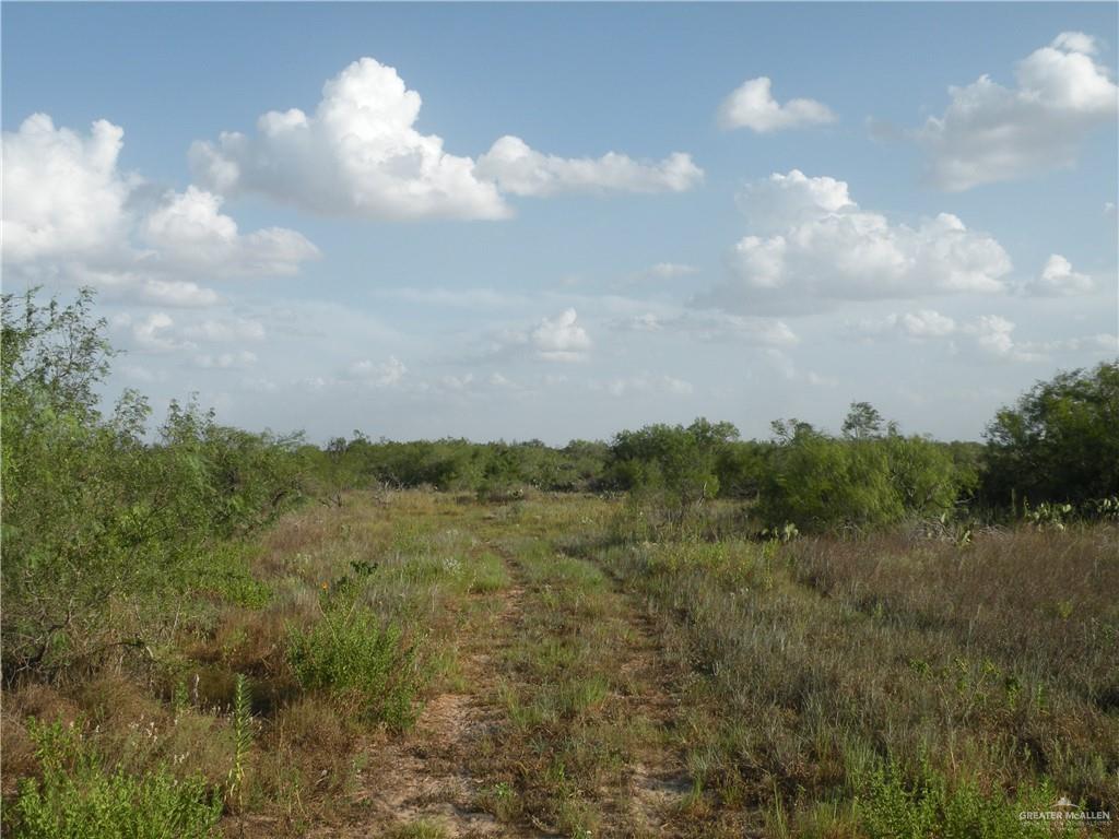 0 Fm 1017 Highway Hebbronville, TX 78361 - Photo 12 of 20 a view of a city and a forest