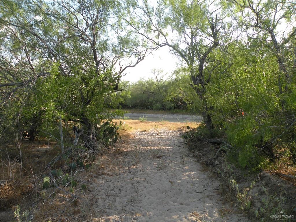 0 Fm 1017 Highway Hebbronville, TX 78361 - Photo 14 of 20 a view of a yard with a tree