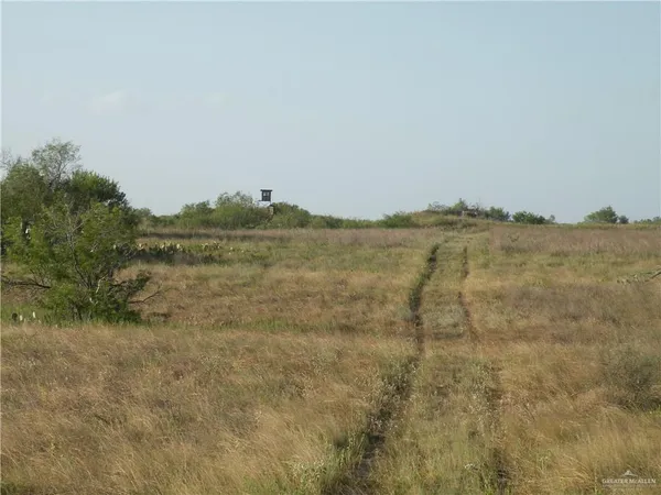 a view of ocean and green space