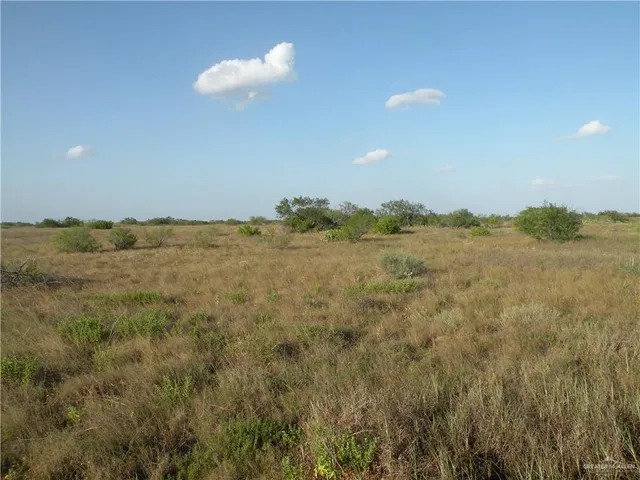 $945,000 | 0 Fm 1017 Highway, Hebbronville, TX 78361