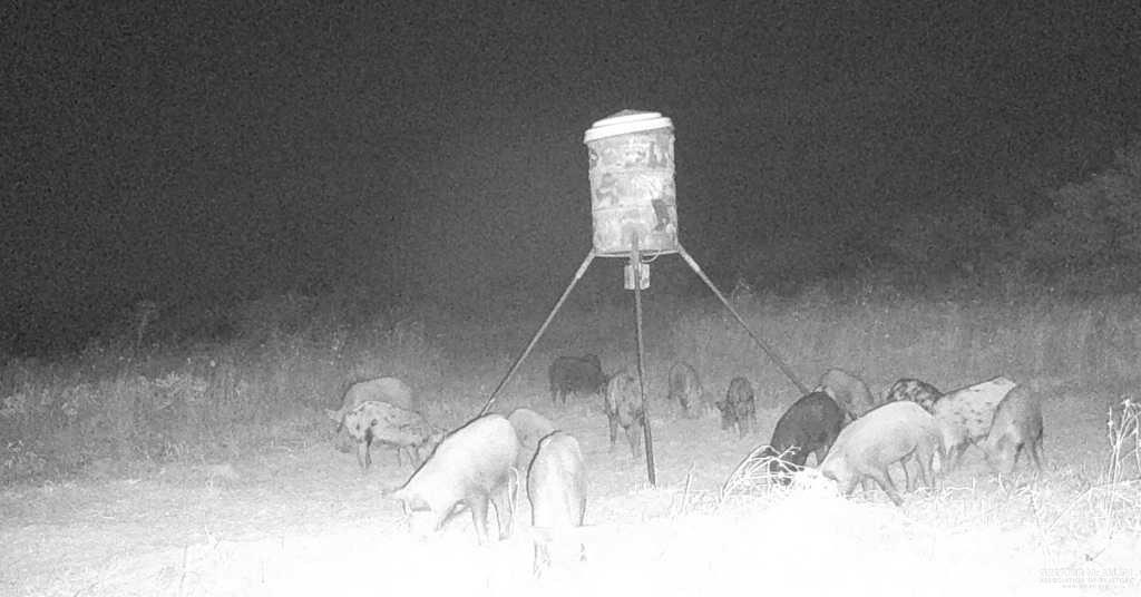 0 Fm 1017 Highway Hebbronville, TX 78361 - Photo 18 of 20 a water heater sitting in the middle of a room