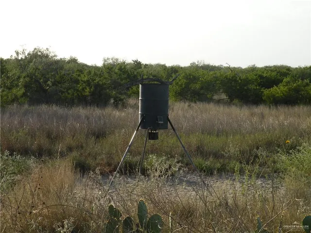 $945,000 | 0 Fm 1017 Highway, Hebbronville, TX 78361