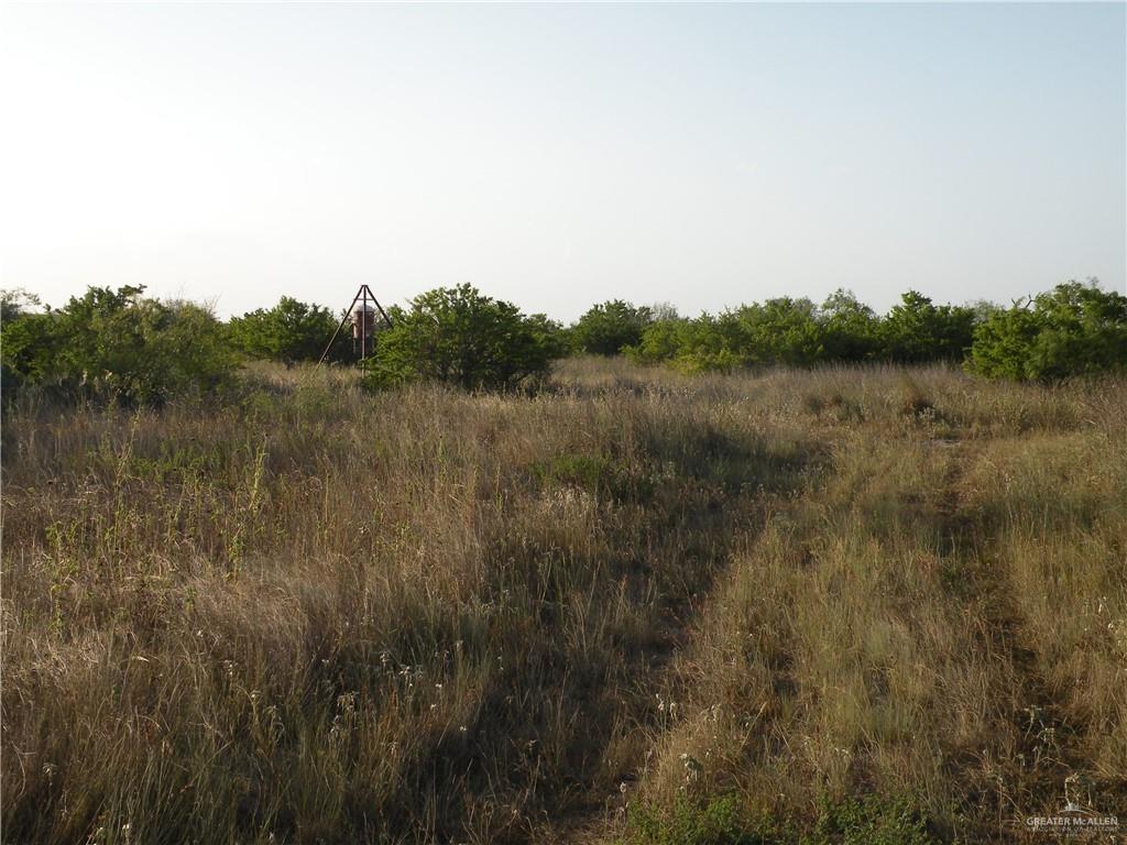 0 Fm 1017 Highway Hebbronville, TX 78361 - Photo 6 of 20 a view of a lake with a city