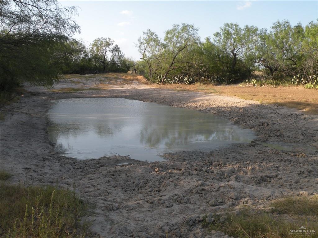 0 Fm 1017 Highway Hebbronville, TX 78361 - Photo 9 of 20 a view of a yard
