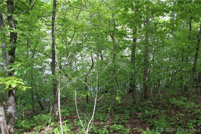 $12,500 | Tbd Butler Road, Stover, MO 65078