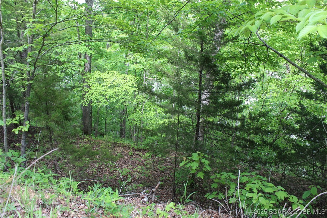 Tbd Butler Road Stover, MO 65078 - Photo 2 of 10