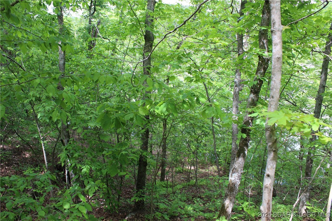 Tbd Butler Road Stover, MO 65078 - Photo 3 of 10