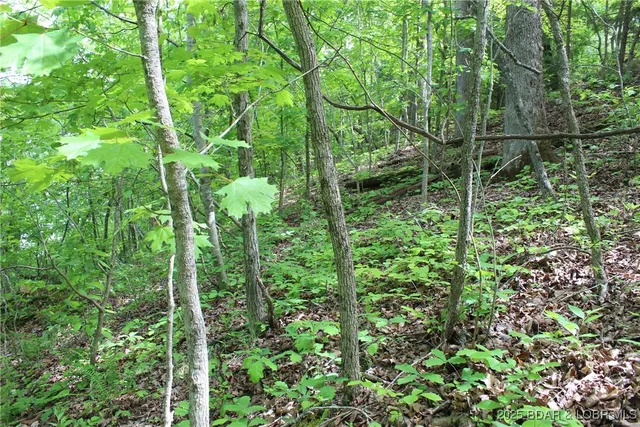 $12,500 | Tbd Butler Road, Stover, MO 65078