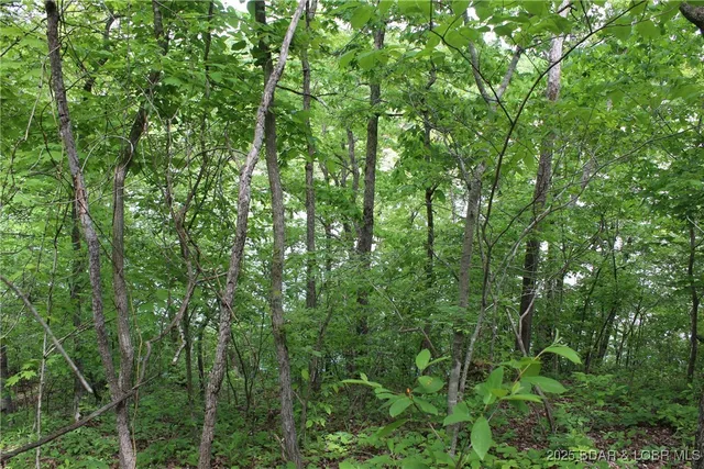 $12,500 | Tbd Butler Road, Stover, MO 65078