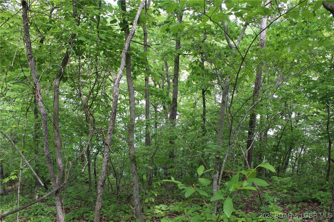 Tbd Butler Road Stover, MO 65078 - Photo 5 of 10