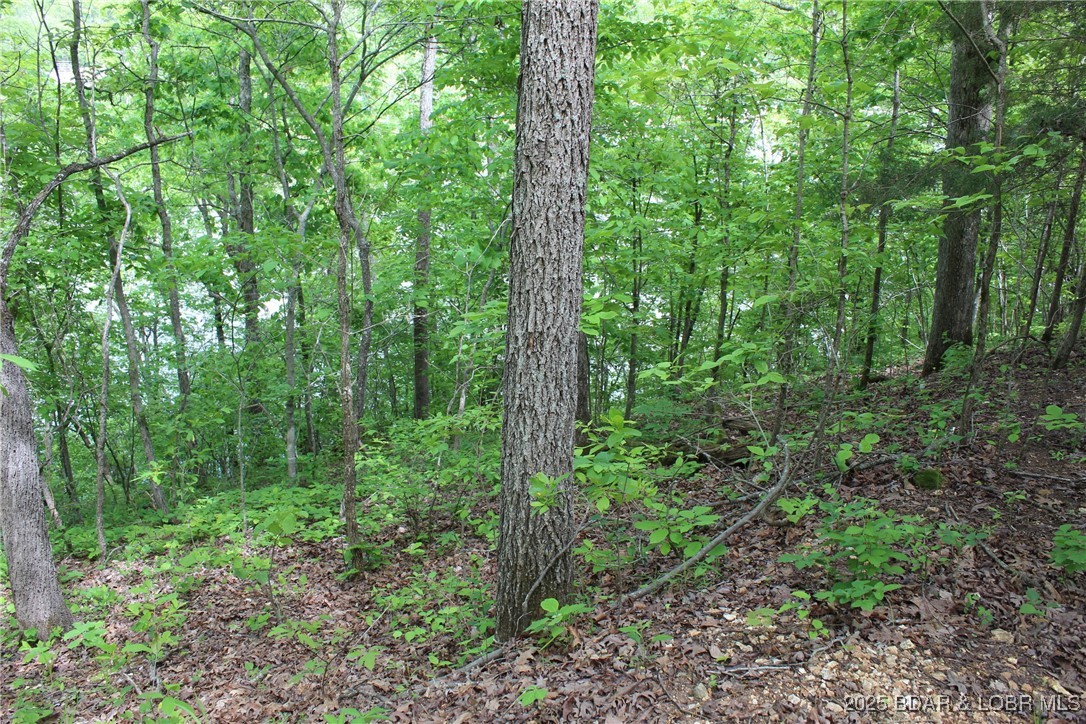 Tbd Butler Road Stover, MO 65078 - Photo 6 of 10