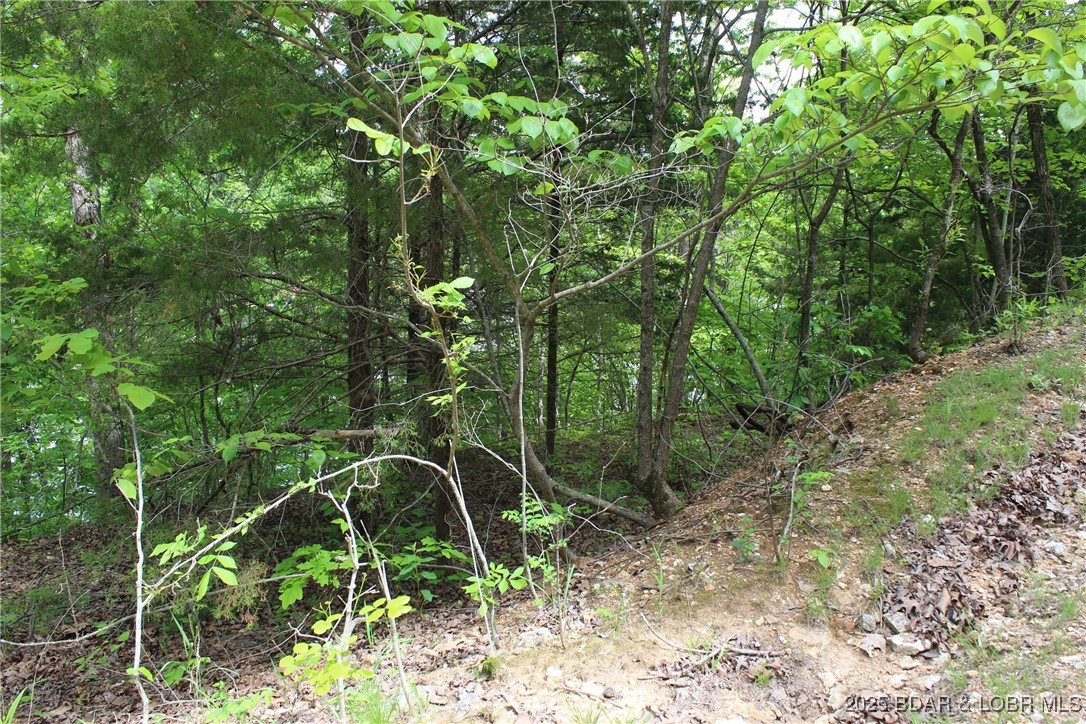 Tbd Butler Road Stover, MO 65078 - Photo 7 of 10