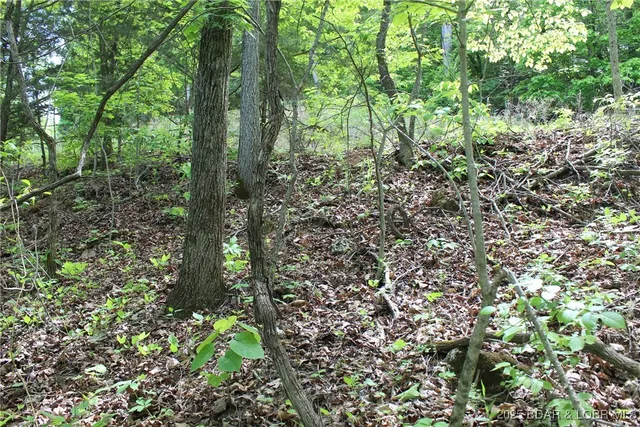 $12,500 | Tbd Butler Road, Stover, MO 65078