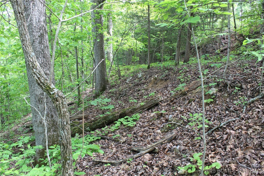 Tbd Butler Road Stover, MO 65078 - Photo 9 of 10