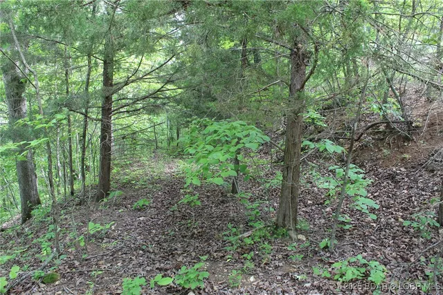 $12,500 | Tbd Butler Road, Stover, MO 65078