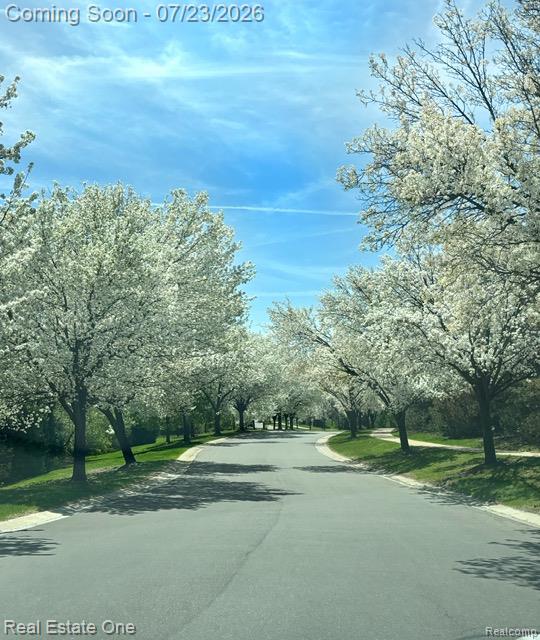3570 Tremonte Circle, Unit 282 Rochester, MI 48306 - Photo 42 of 44 and the main entrance road in Spring, just gorgeous, look at those trees!