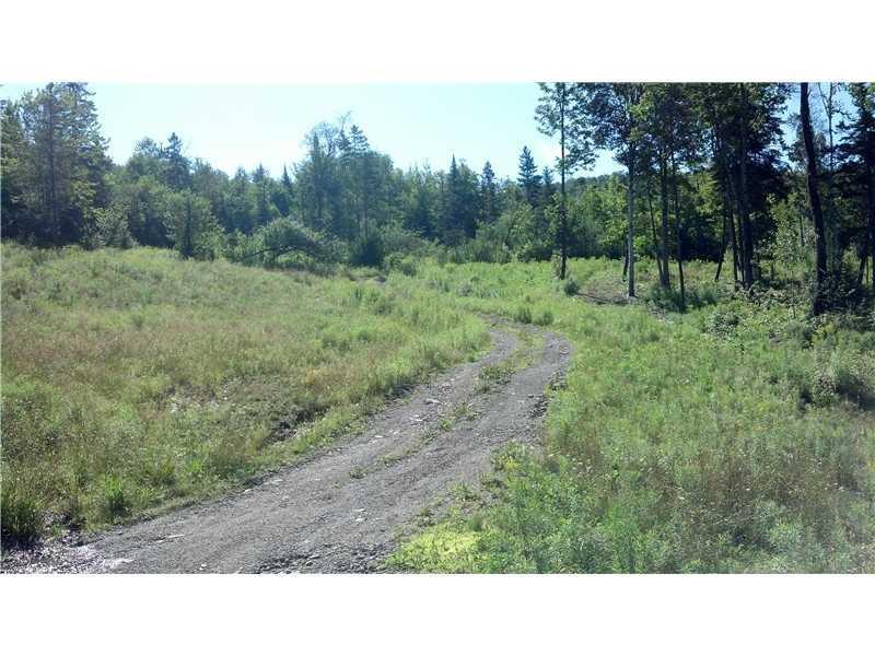 Lot # Lougee Road Oakfield, ME 04763 - Photo 4 of 10 Exterior Front.