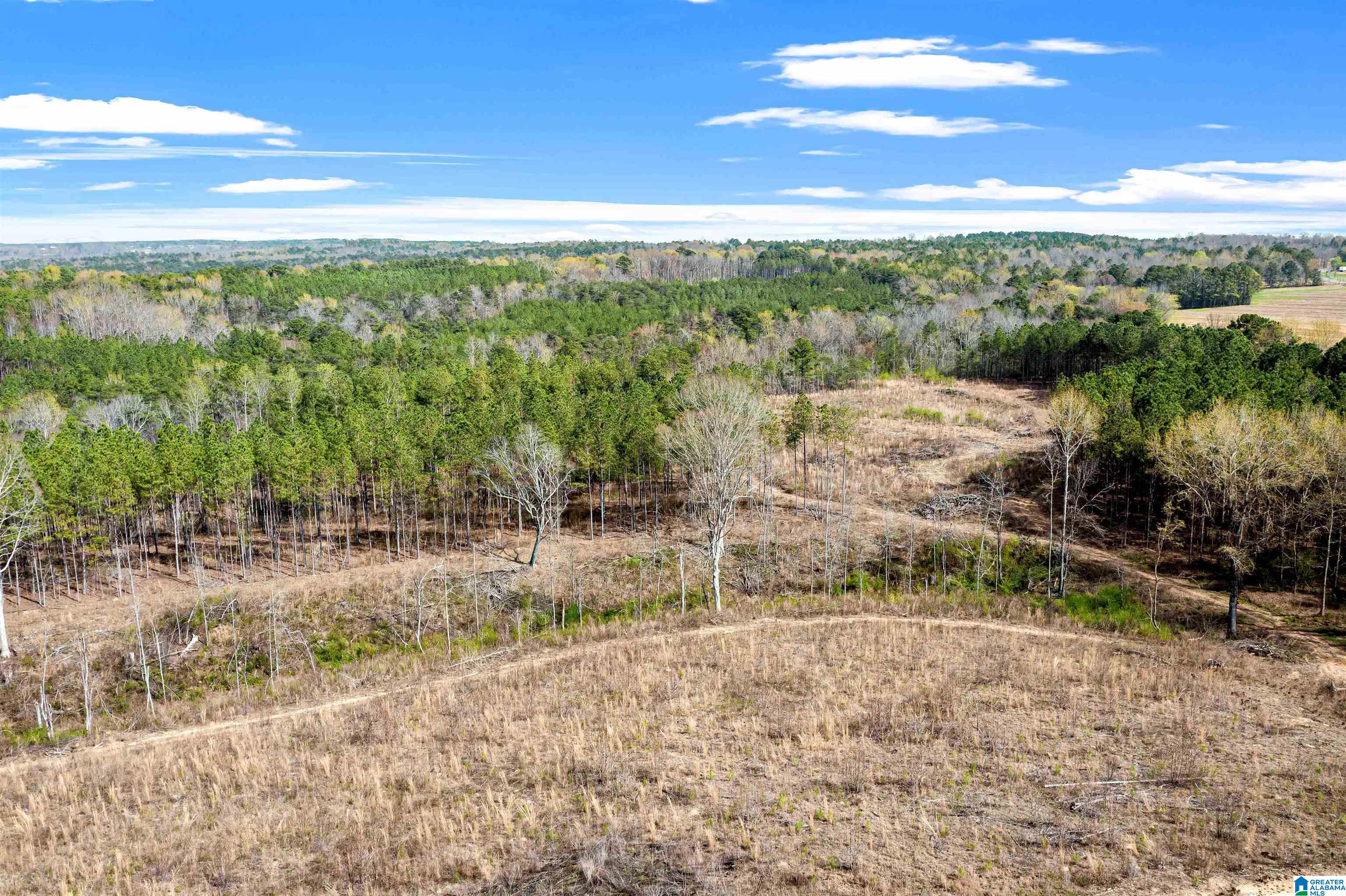 0 Frost Road, Unit 100 / ACRES Springville, AL 35146 - Photo 52 of 60
