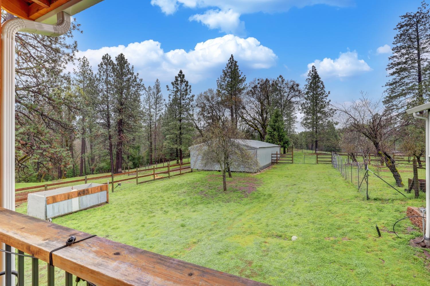 11625 Tyler Foote Road Nevada City, CA 95959 - Photo 58 of 96