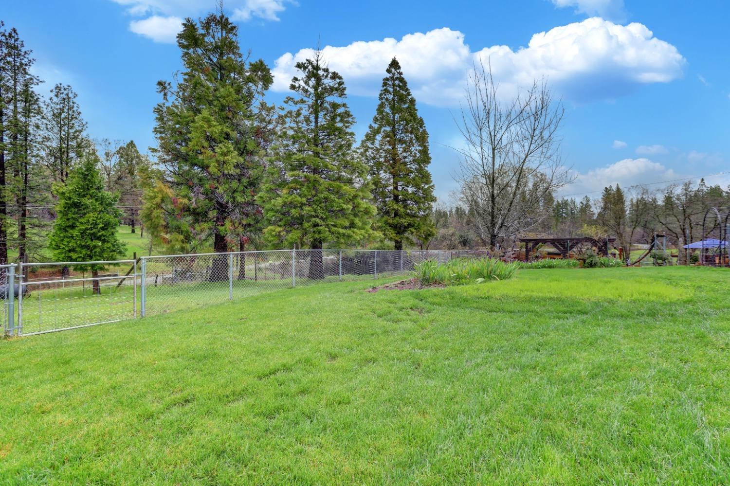 11625 Tyler Foote Road Nevada City, CA 95959 - Photo 59 of 96