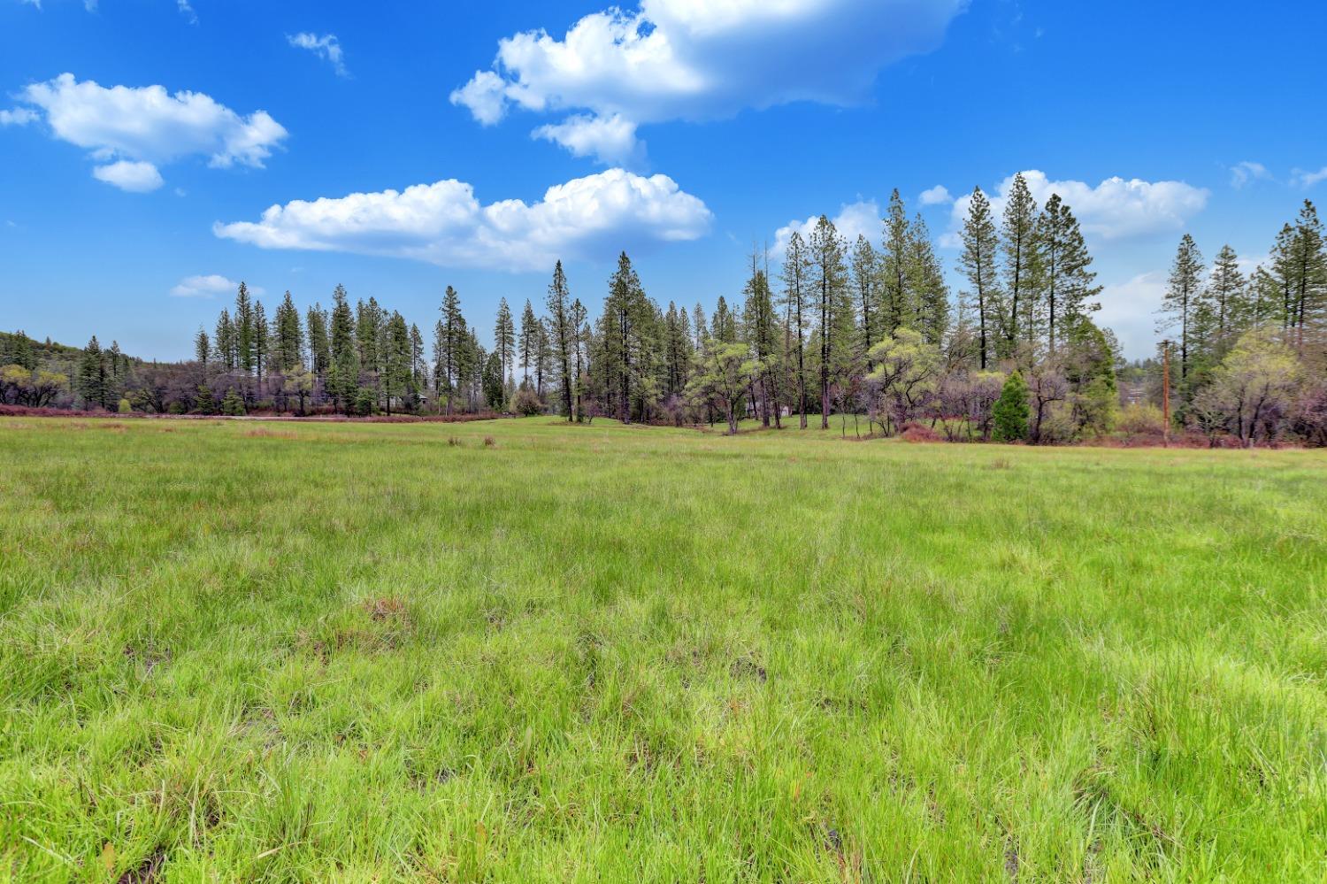 11625 Tyler Foote Road Nevada City, CA 95959 - Photo 62 of 96
