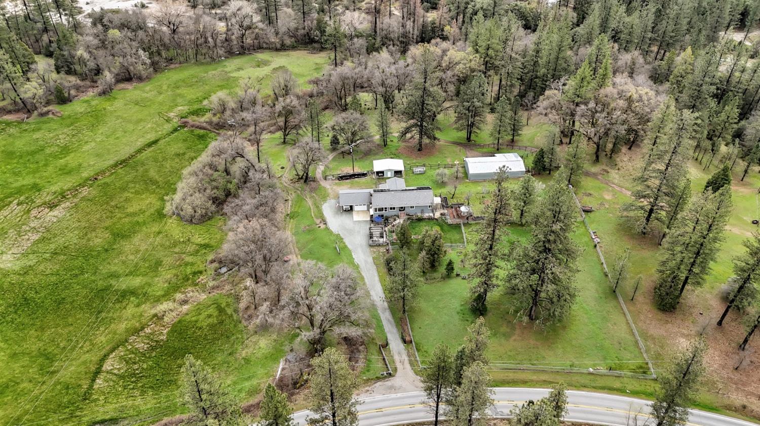 11625 Tyler Foote Road Nevada City, CA 95959 - Photo 65 of 96 a view of a yard with plants